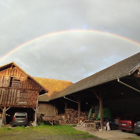 Chez Marguerite Gites A La Ferme Horbourg-Wihr Kültér fotó