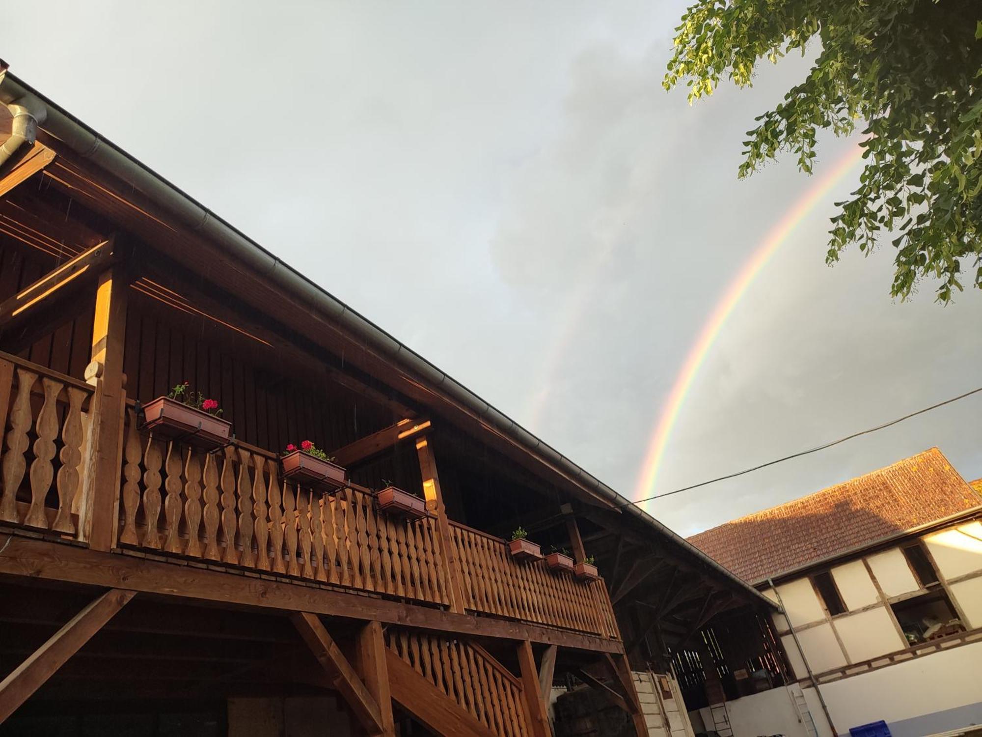 Chez Marguerite Gites A La Ferme Horbourg-Wihr Kültér fotó