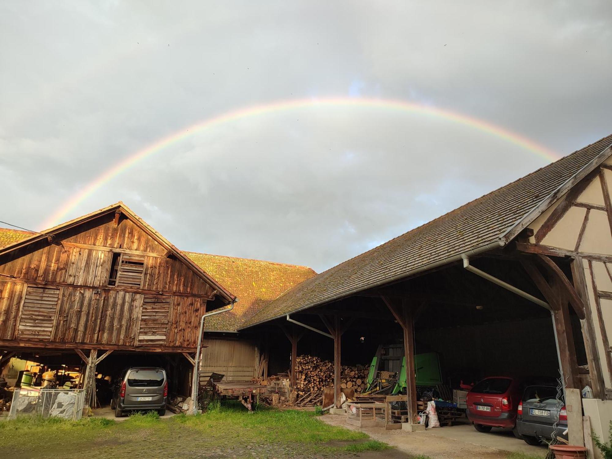 Chez Marguerite Gites A La Ferme Horbourg-Wihr Kültér fotó