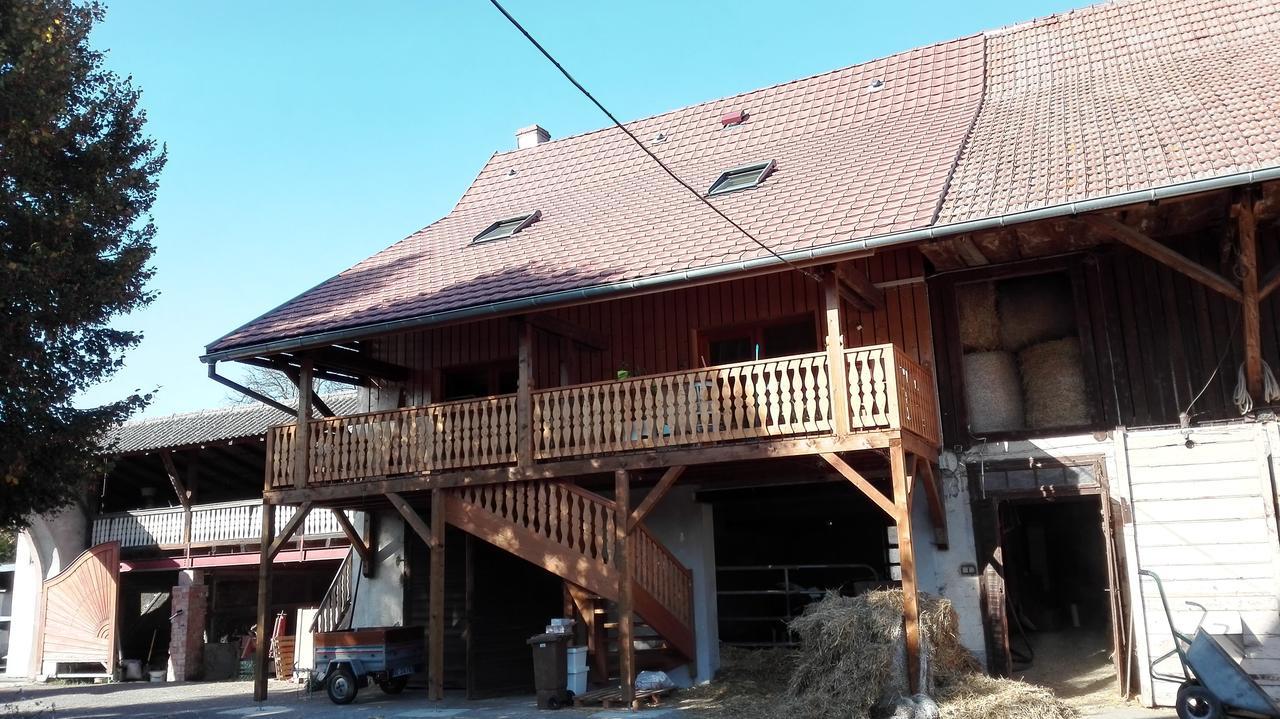 Chez Marguerite Gites A La Ferme Horbourg-Wihr Kültér fotó